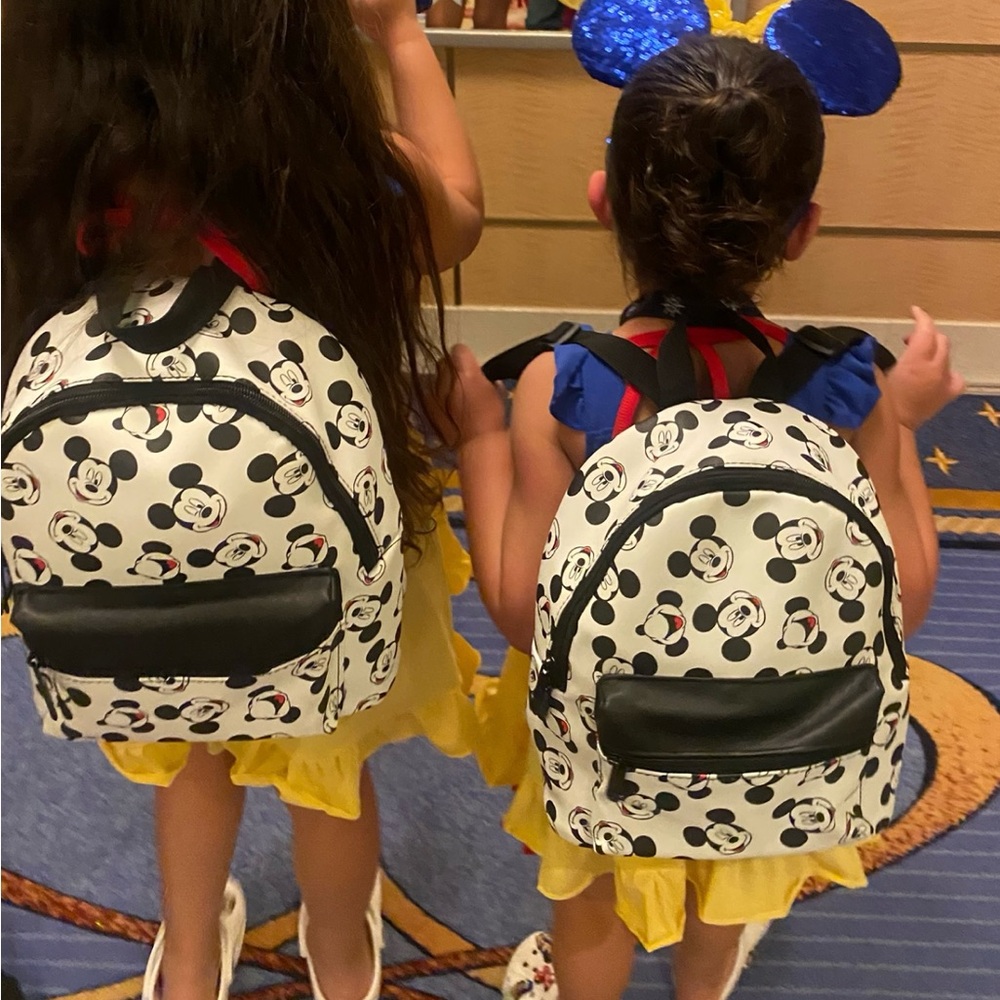 Mickey Mouse backpack
Only used twice